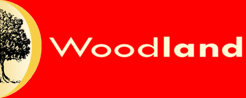 Login Logo